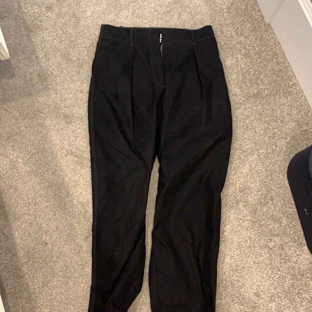 Aritzia balloon pants.